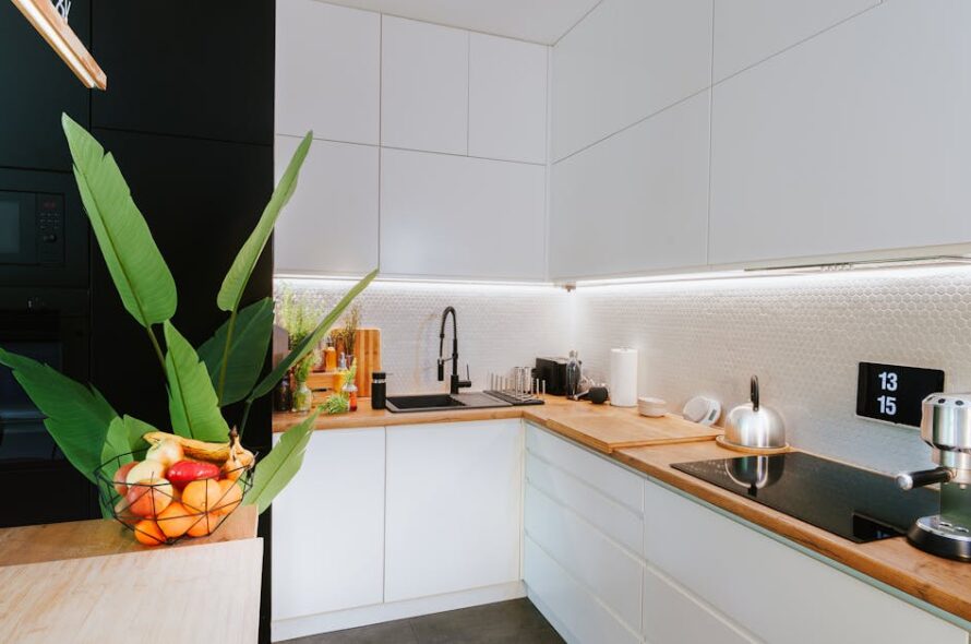 Szafka fermentacyjna w zabudowie kuchennej – inteligentna szuflada do kiszonek, koji i jogurtu